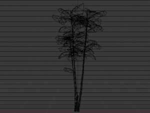 Bamboo Trees Modèle 3D