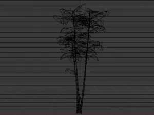 Bamboo Trees 3D Model