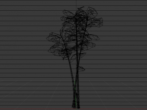 Bamboo Trees Modèle 3D