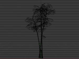 Bamboo Trees 3D Model