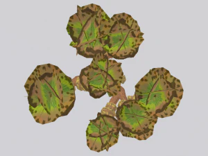 Woestijnboom 3D Model