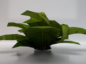 Pianta polverosa Modello 3D