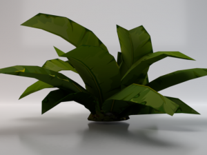 Dusty Plant 3Dモデル