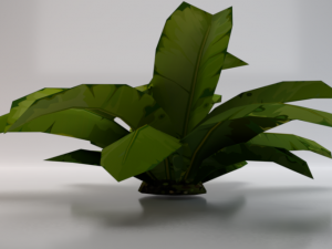 Dusty Plant 3Dモデル