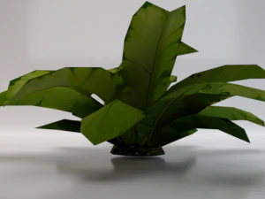Dusty Plant 3D Model