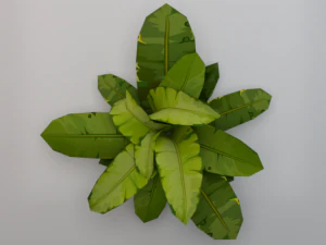 Dusty Plant 3D Model