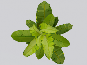 Dusty Plant 3Dモデル