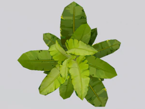 Dusty Plant 3D Model