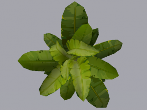 Dusty Plant 3Dモデル