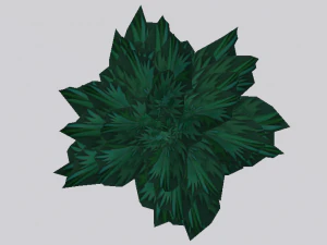 Spruce Tree 3D Model