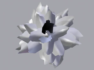 Spruce Tree 3D Model