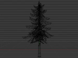 Spruce Tree 3D Model