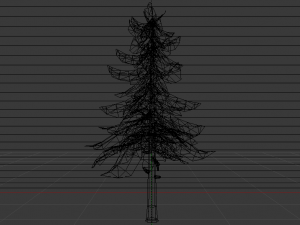 Spruce Tree Modello 3D