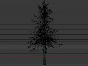 Spruce Tree 3D Model