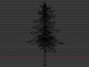 Spruce Tree Modello 3D