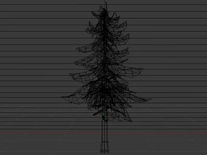 Spruce Tree 3D Model
