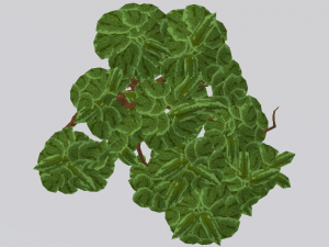 Willow Tree 3D Model