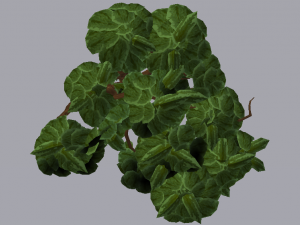 Willow Tree 3D Model