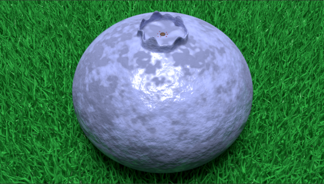 Blueberry 3D मॉडल .c4d .max .obj .3ds .fbx .stl .blend 