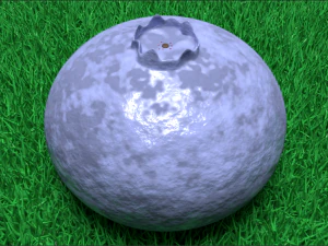 blueberry Model 3D