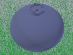 Blueberry 3D मॉडल