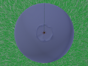 Blueberry 3D मॉडल