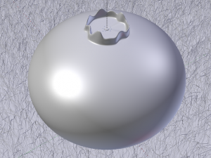 Blueberry 3D मॉडल