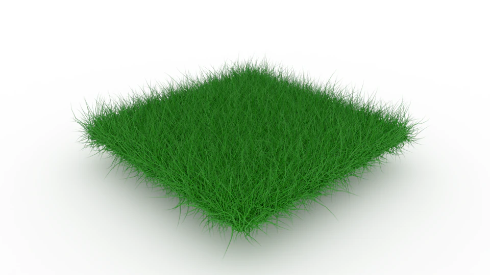 Grass 3D Model .c4d .max .obj .3ds .fbx .stl .blend 