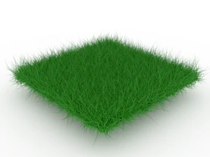 Трава 3D Модель