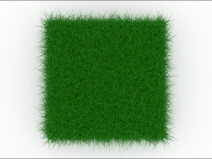 Grass 3D Model