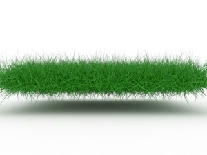 Grass 3D Model