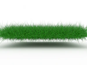 Grass 3D Model
