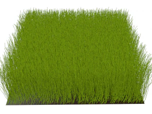 Grass 3D Model