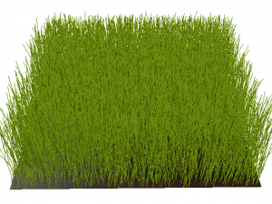 Grass 3D Model