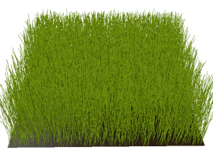 Grass 3D Model