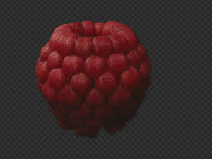 Frambuesa Modelo 3D