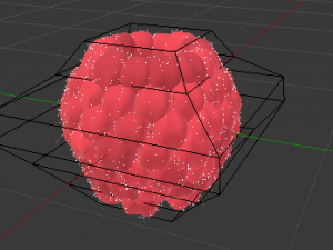 Raspberry 3D Model