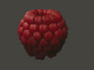 Raspberry 3D Model