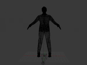 Human 3D Model