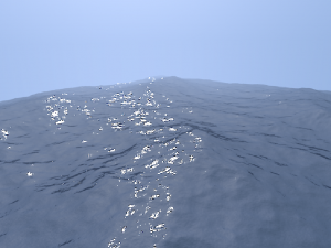 Ocean 3D 모델