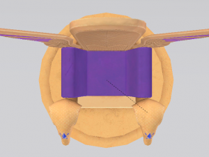 Fantasy Throne - Iridescence Throne Model 3D