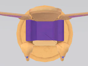 Fantasy Throne - Iridescence Throne 3D Model