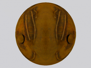 Golden Snitch 3D Model
