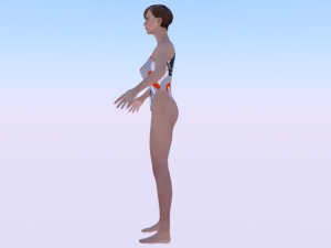 A Woman in a Bikini 016 3D 模型