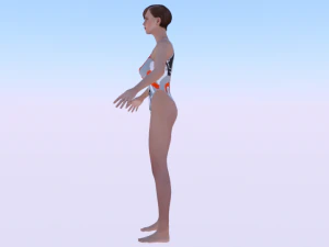 A Woman in a Bikini 016 3D Model
