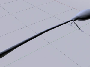 Nimbus 2001 - Broomstick 3D Model