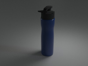 water bottle Modello 3D