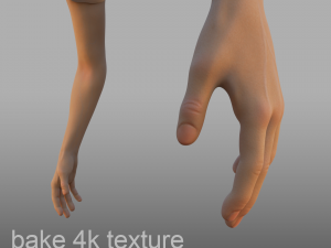 hand anatomy 3D Model
