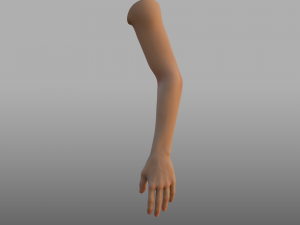 hand anatomy 3D Model
