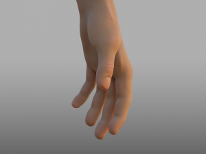 hand anatomy 3D Model